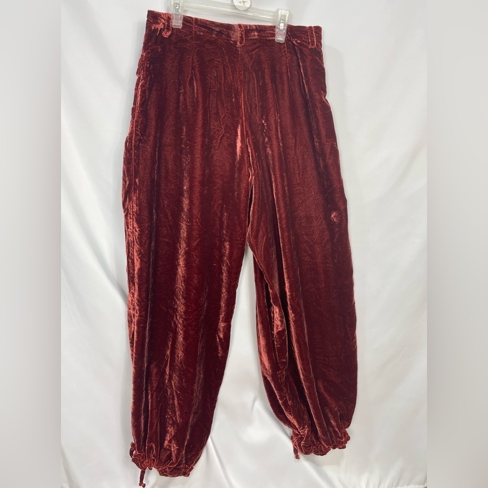 We the Free Lotus Velvet Garnet balloon pants women’s size 28 We the free - Picture 4 of 17
